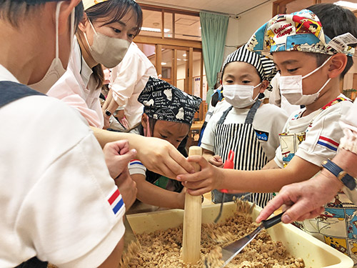 ５歳児味噌造り