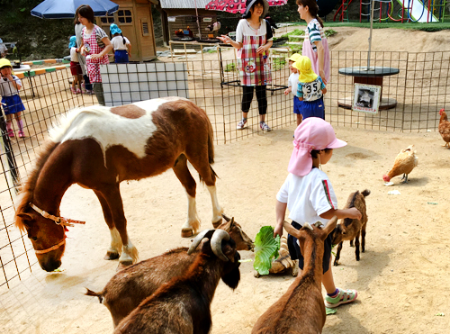 移動動物園